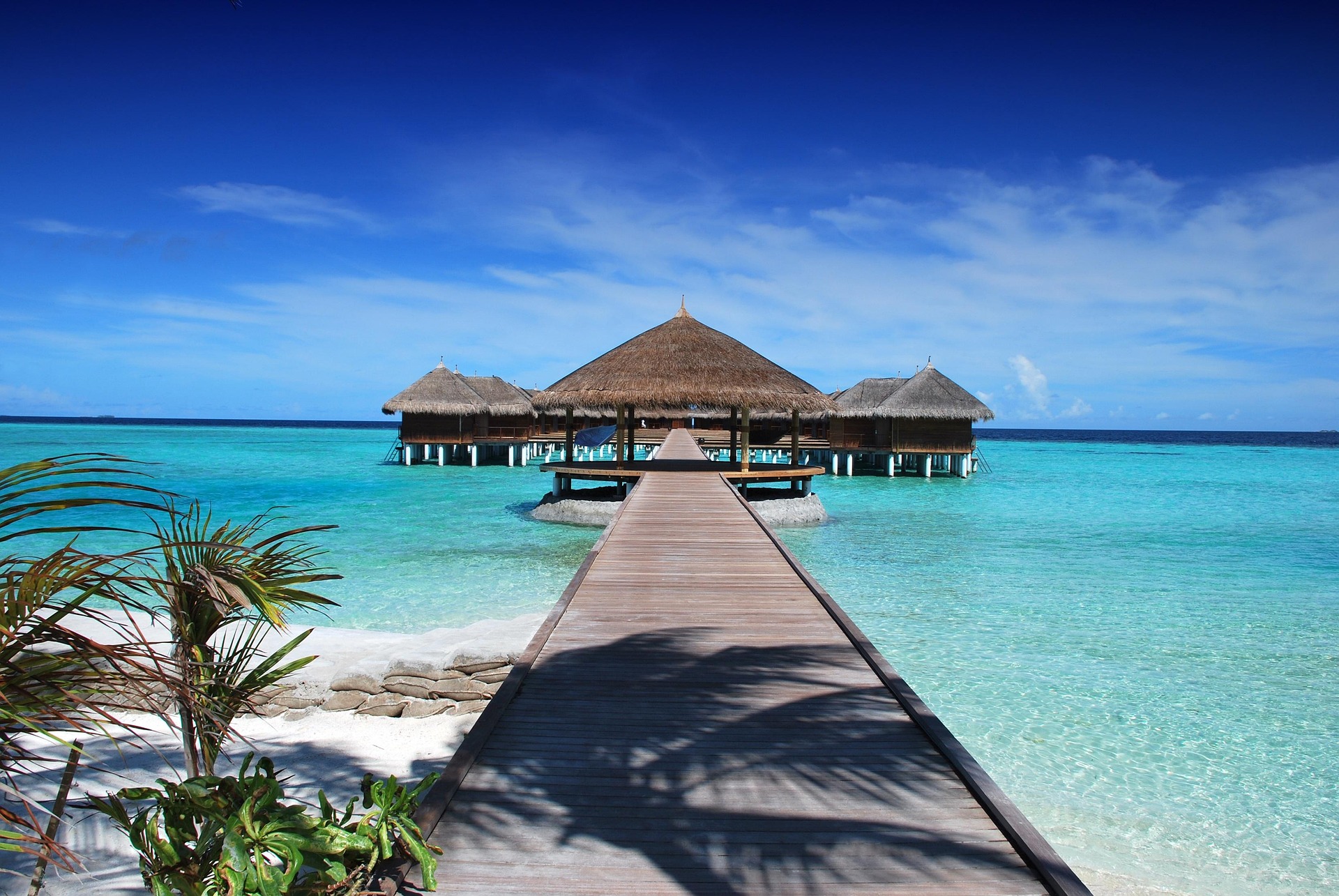 Wooden deck leading to beach house